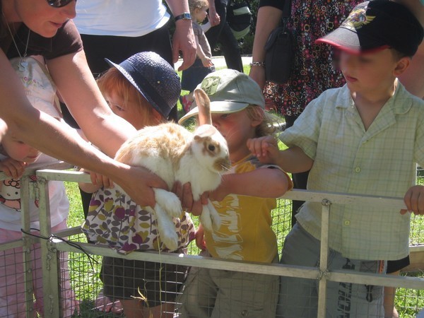 jeannotlapincaresseparlesenfants Jeannot: le lapin de Tiligolo